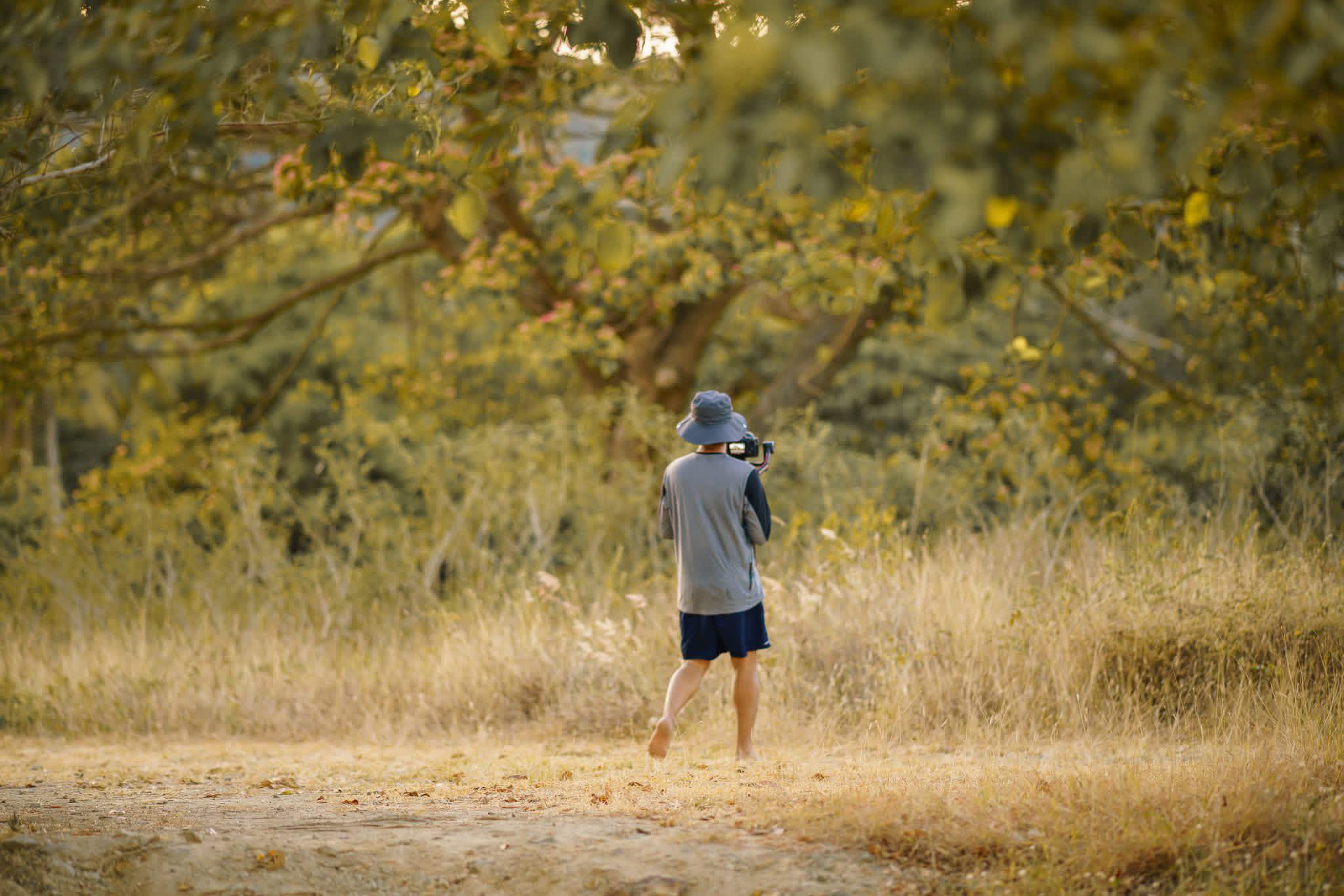 Professional Videographer